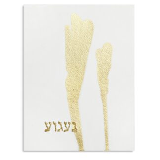 ליאור גריידי